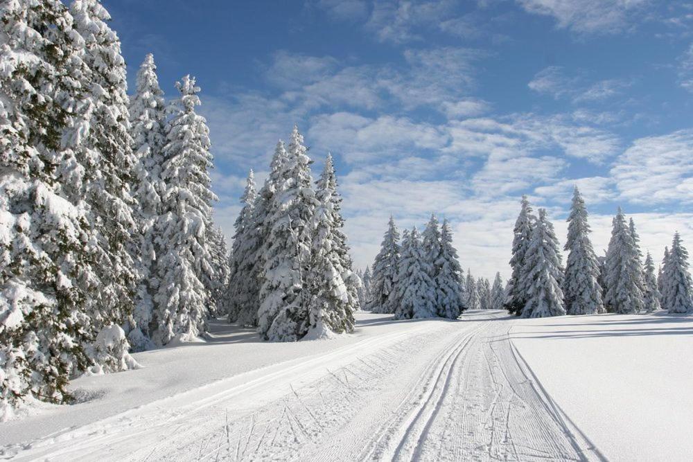Apartman Na Svahu, Krkonose Žacléř المظهر الخارجي الصورة